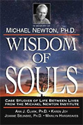 Book - Wisdom of Souls - Case Studies of Life Between Lives from the Michael Newton Institute